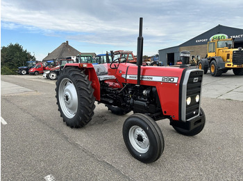 Traktor neu kaufen Massey Ferguson 290: das Bild 3