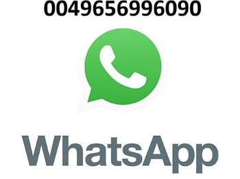 Müllwagen Faun Variopress  II 528 V 19 Faun Variopress  II 528 V 19: das Bild 3