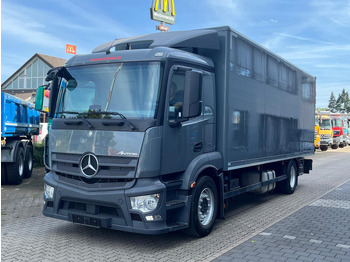 MERCEDES-BENZ Antos 1830 Koffer LKW
