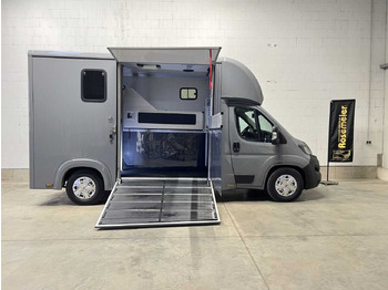 FIAT Pferdetransporter