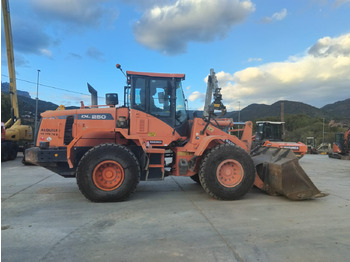 DOOSAN DL250 Radlader