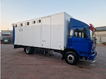 RENAULT Midliner Koffer LKW