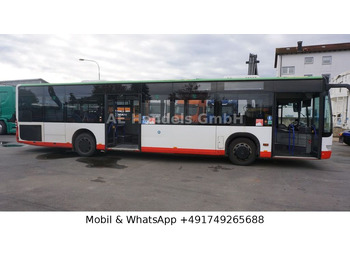 Linienbus Mercedes-Benz Citaro *EEV/33+1/65-Stehplätze/Dachklima: das Bild 2