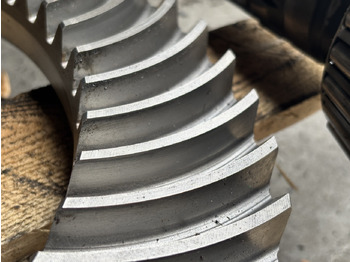 Differenzial Getriebe für Landmaschine John Deere 7530 6170 6210 Mechanizm Różnicowy Atak RE565816 RE325246 R225505 R225507: das Bild 2 Differenzial Getriebe für Landmaschine John Deere 7530 6170 6210 Mechanizm Różnicowy Atak RE565816 RE325246 R225505 R225507: das Bild 2