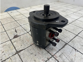 Hydraulikpumpe für Kran Gear pump: das Bild 2
