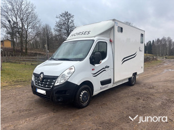 RENAULT Master Pferdetransporter