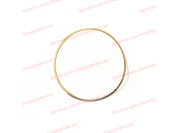 IVECO Motor und Teile