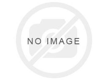 LIEBHERR Auspuff