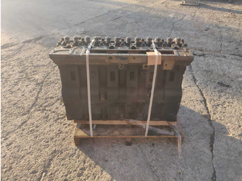 CUMMINS Motor