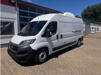 FIAT Ducato Kühltransporter