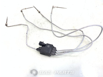 DAF Sensor