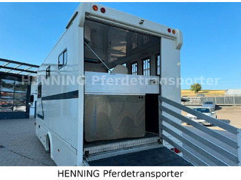 Tiertransporter LKW MAN TGL 8.180 4x2: das Bild 5 Tiertransporter LKW MAN TGL 8.180 4x2: das Bild 5