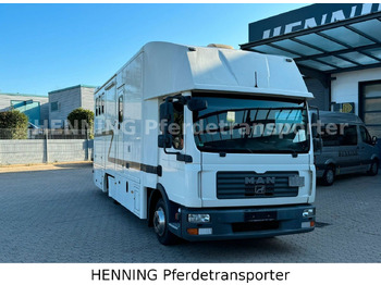 Tiertransporter LKW MAN TGL 8.180 4x2: das Bild 3 Tiertransporter LKW MAN TGL 8.180 4x2: das Bild 3