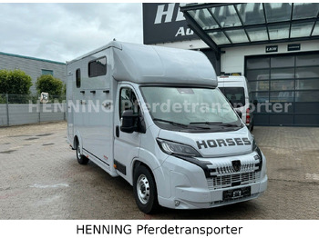 Tiertransporter LKW Peugeot Boxer 3 - Sitzer *GROSSE SATTELKAMMER*: das Bild 2