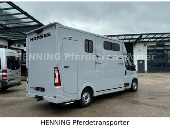 Tiertransporter LKW Peugeot Boxer 3 - Sitzer *GROSSE SATTELKAMMER*: das Bild 3