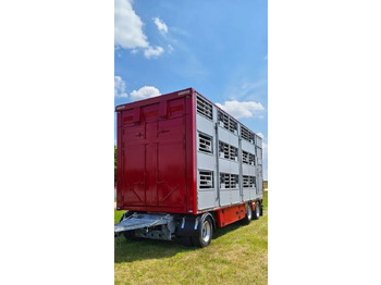 Tiertransporter Anhänger Pezzaioli RBA 32/TRZYOSIOWA PRZYCZEPA-2XBYDŁO,3X TRZODA/HYDRAULICZNIE PODNOSZONY DACH I PODŁOGI / OŚ ŚRODKOWA PODNOSZONA: das Bild 4