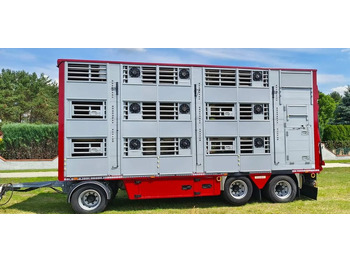 Tiertransporter Anhänger Pezzaioli RBA 32/TRZYOSIOWA PRZYCZEPA-2XBYDŁO,3X TRZODA/HYDRAULICZNIE PODNOSZONY DACH I PODŁOGI / OŚ ŚRODKOWA PODNOSZONA: das Bild 3
