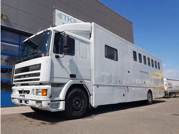 DAF 95 350 Pferdetransporter