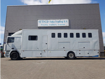 Pferdetransporter DAF 95.350 Paardenwagen met zitverblijf 7 paarden 7 horses: das Bild 3