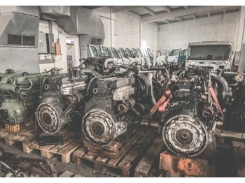 RENAULT Magnum Motor