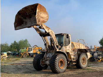 Radlader Liebherr L 566 2Plus2: das Bild 4