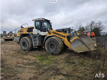 Radlader Wheel loader LIEBHERR L566 xPower (2017): das Bild 3