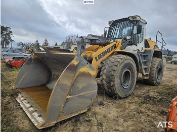 Radlader Wheel loader LIEBHERR L566 xPower (2017): das Bild 4