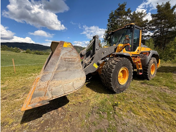 Radlader Volvo L 110 H: das Bild 4