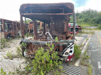 IVECO Linienbus