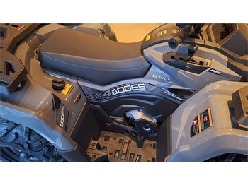 Quad AODES PATHCROSS 650 L (T3A) fabriks ny: das Bild 5