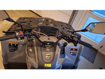 Quad AODES PATHCROSS 650 L (T3A) fabriks ny: das Bild 4