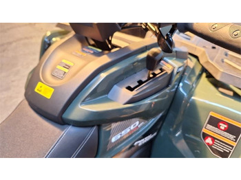 Quad AODES PATHCROSS 650 S (T3A) fabriks ny: das Bild 4