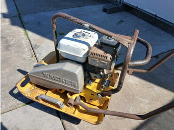 Rüttelplatte Wacker WPR 1350: das Bild 4 Rüttelplatte Wacker WPR 1350: das Bild 4