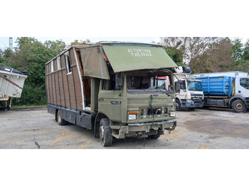 RENAULT Midliner M 180 Pferdetransporter