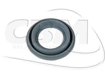 IRISBUS Bremssattel