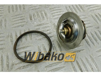 CUMMINS Thermostat