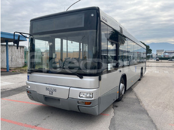 Überlandbus Man Lion's Classic: das Bild 3