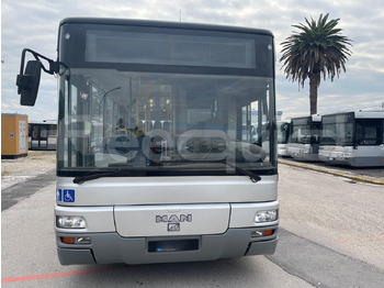 Überlandbus Man Lion's Classic: das Bild 2