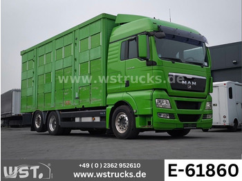 MAN TGX XL Pferdetransporter