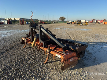 MASCHIO GASPARDO Egge