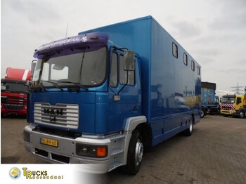 MAN Pferdetransporter