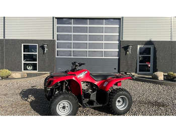 YAMAHA Quad