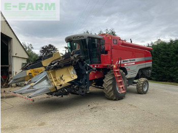 MASSEY FERGUSON Mähdrescher