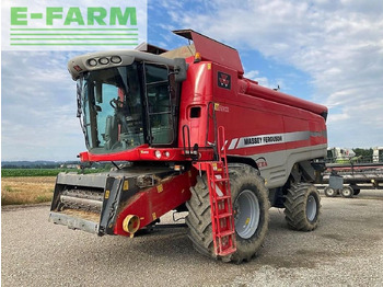 MASSEY FERGUSON Mähdrescher
