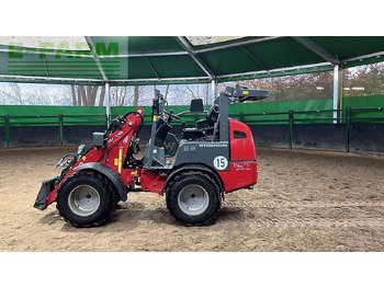 WEIDEMANN Minibagger