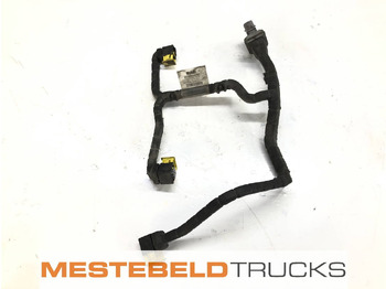 DAF Auspuff/ Abgasanlage