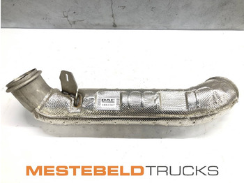 DAF Auspuff/ Abgasanlage