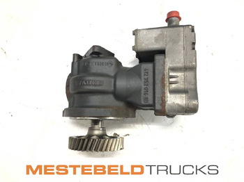 IVECO Motor und Teile