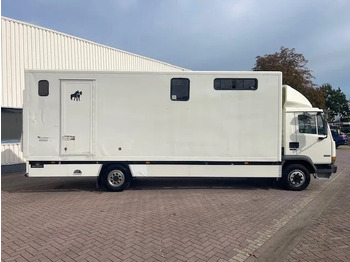 Pferdetransporter DAF LF 45.130 CLEAN HORSES NL-TRUCK: das Bild 5