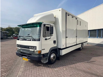 Pferdetransporter DAF LF 45.130 CLEAN HORSES NL-TRUCK: das Bild 3